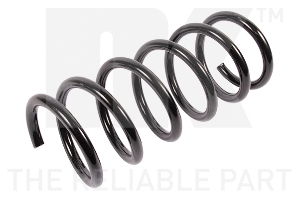 Suspension Spring (542580)