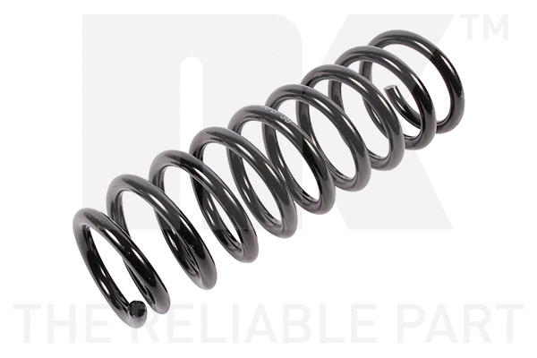 Suspension Spring (543518)