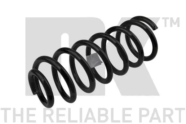Suspension Spring (543719)