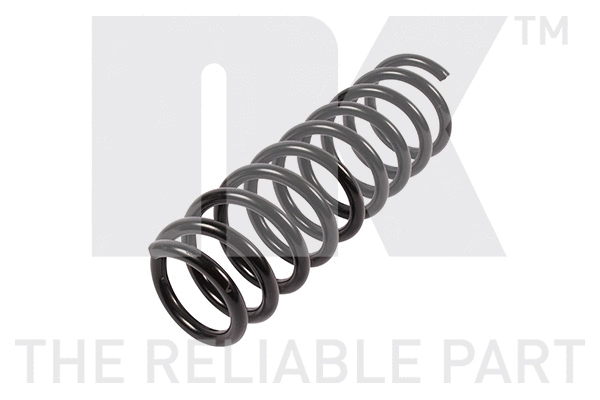 Suspension Spring (543417)