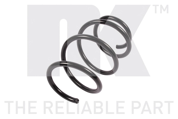 Suspension Spring (5333103)