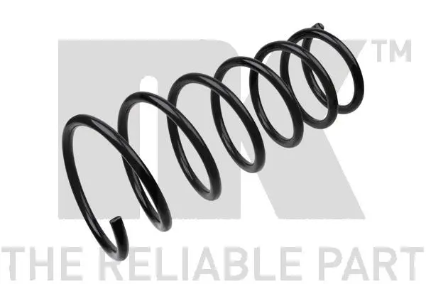 Suspension Spring (542541)