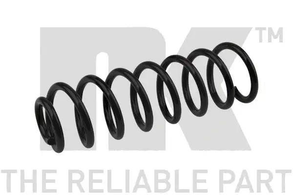 Suspension Spring (543319)