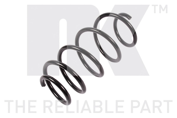 Suspension Spring (5319106)