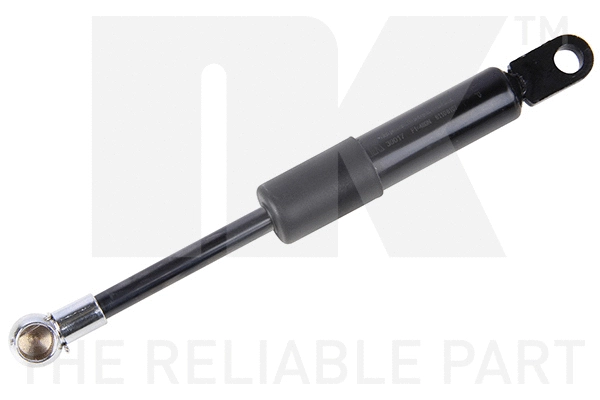 Gas Spring, boot/cargo area (11039017)