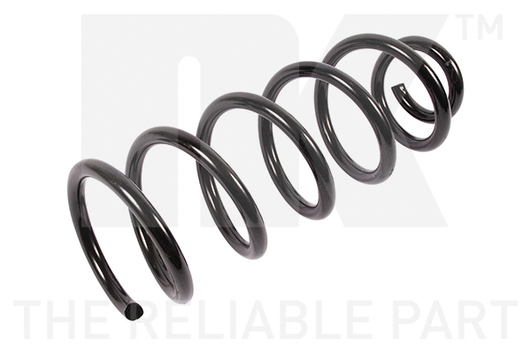 Suspension Spring (543232)