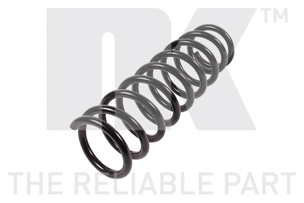 Suspension Spring (543423)