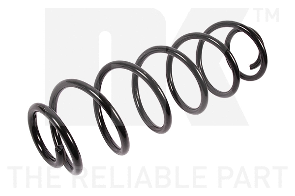 Suspension Spring (541924)