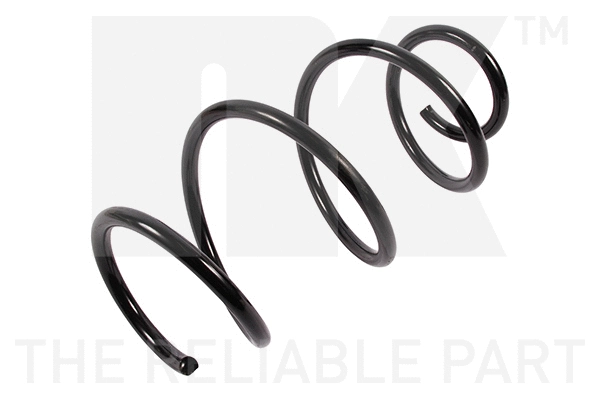 Suspension Spring (533519)