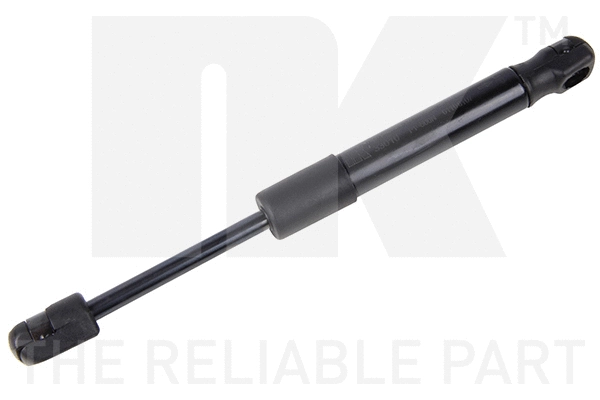 Gas Spring, boot/cargo area