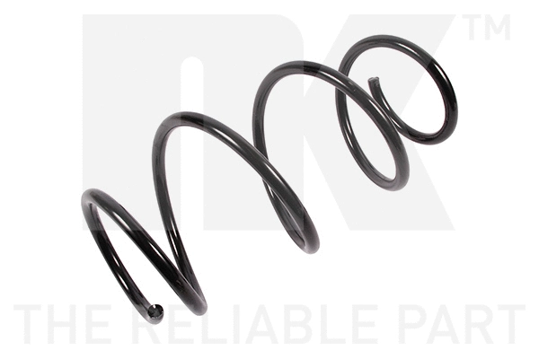 Suspension Spring (531577)