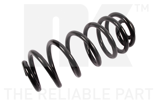 Suspension Spring (541570)