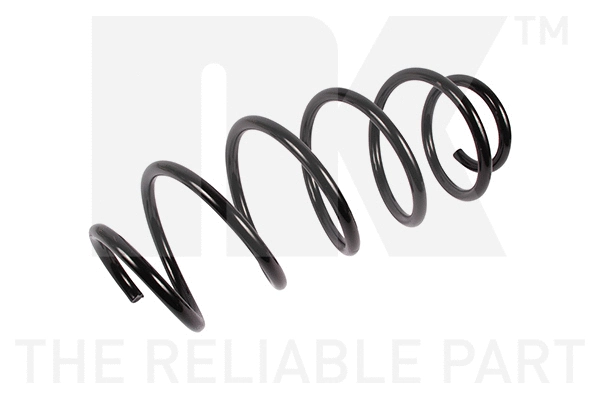 Suspension Spring (531996)