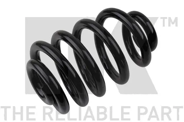 Suspension Spring (543336)