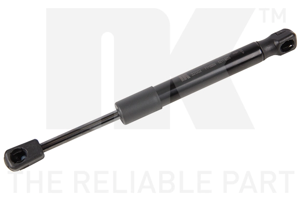 Gas Spring, boot/cargo area (11032002)