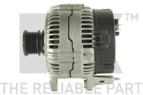 Alternator (4841300)