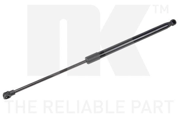 Gas Spring, boot/cargo area (11039008)