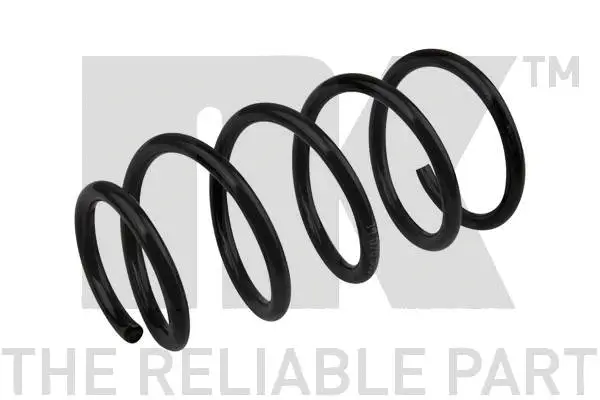 Suspension Spring (543669)