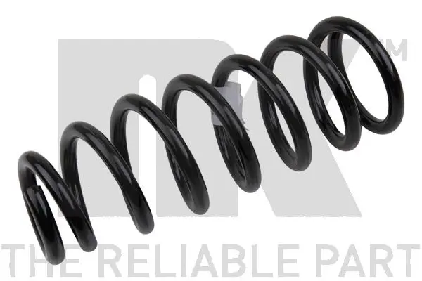 Suspension Spring (543717)