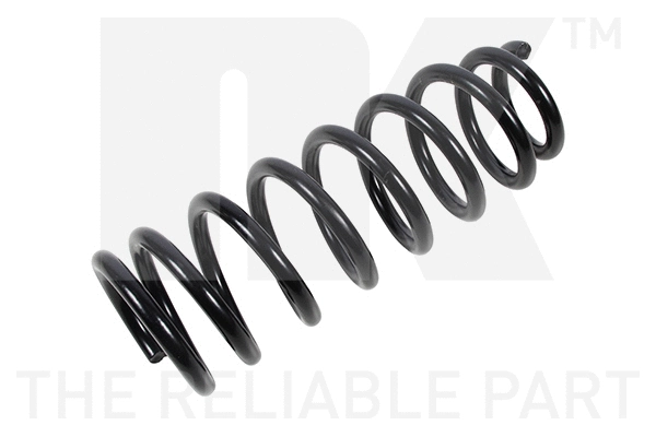 Suspension Spring (544577)