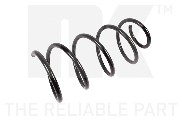 Suspension Spring (531568)