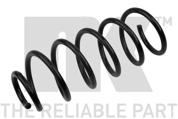 Suspension Spring (543639)