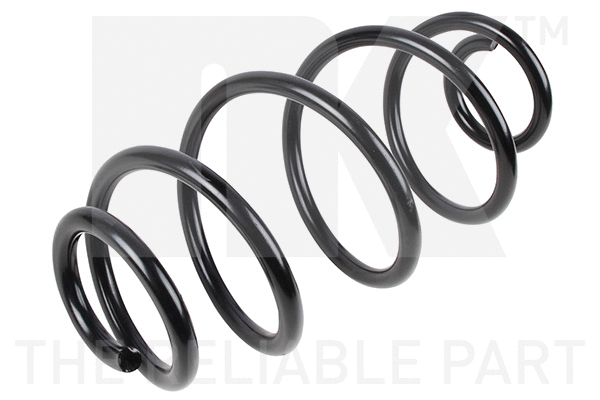 Suspension Spring (542339)
