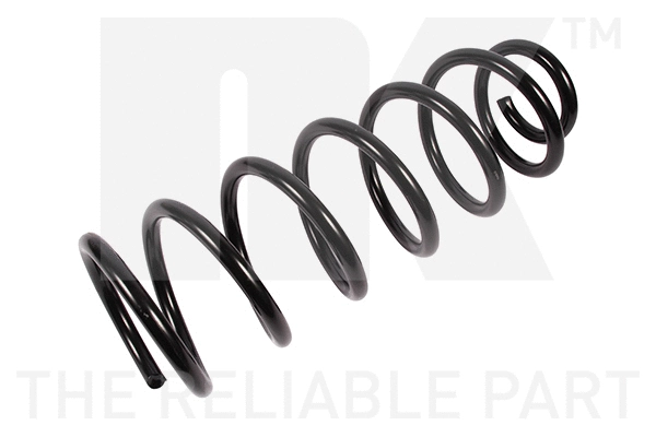 Suspension Spring (541929)