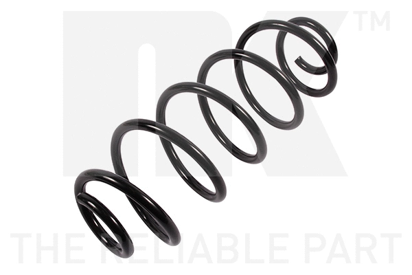 Suspension Spring (543725)