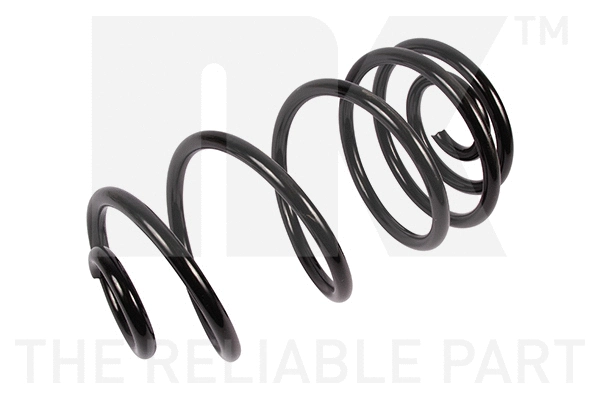 Suspension Spring (543699)