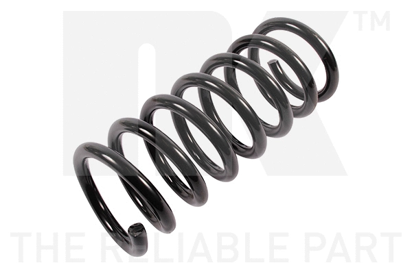 Suspension Spring (545007)