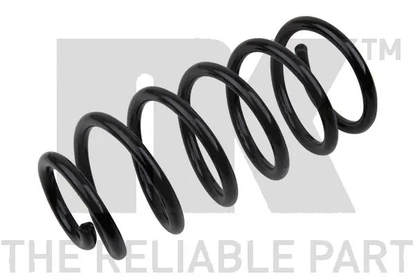 Suspension Spring (543513)