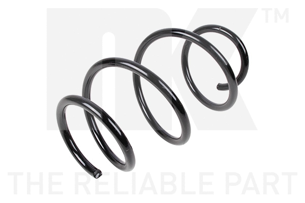 Suspension Spring (531574)