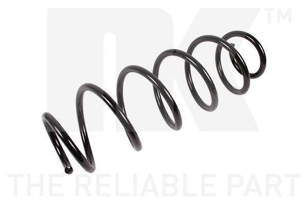 Suspension Spring (543380)