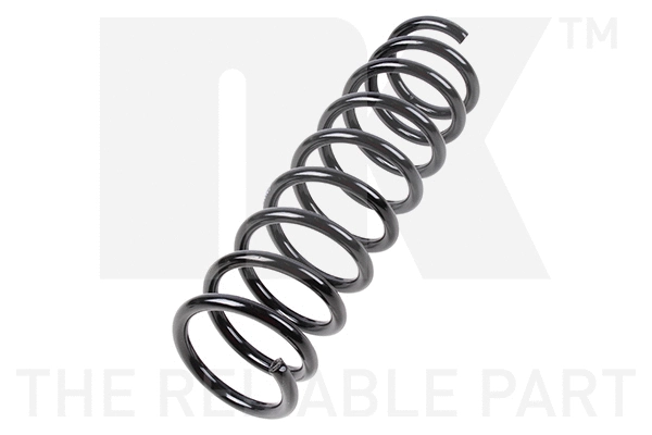 Suspension Spring (543418)