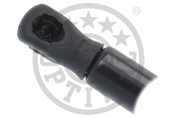 Gas Spring, boot/cargo area