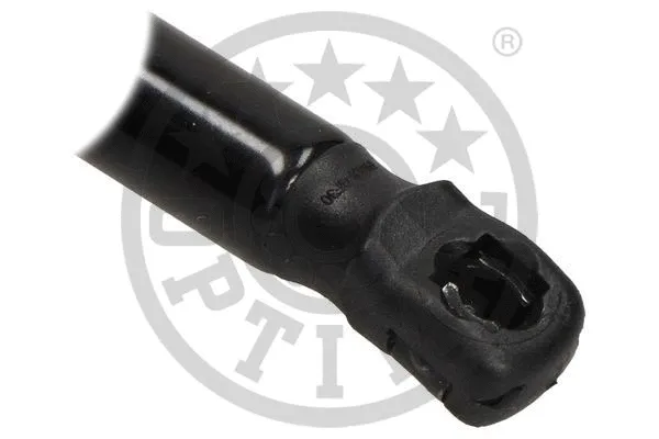 Gas Spring, boot/cargo area