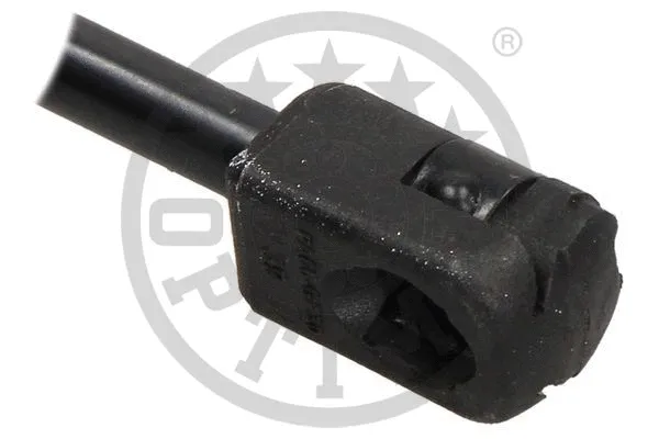 Gas Spring, boot/cargo area