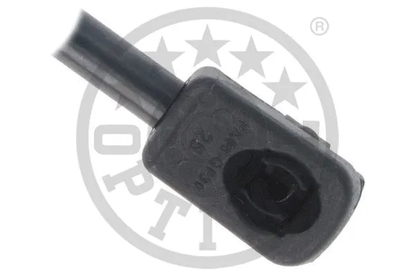 Gas Spring, boot/cargo area