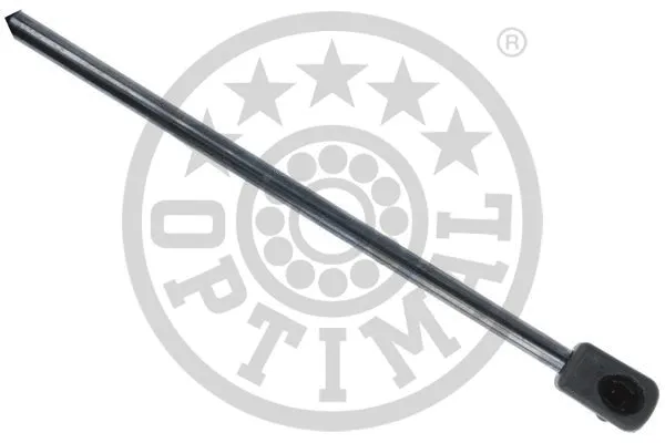 Gas Spring, boot/cargo area