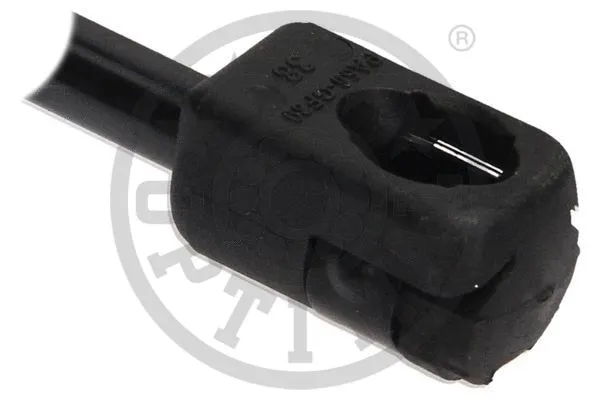 Gas Spring, boot/cargo area