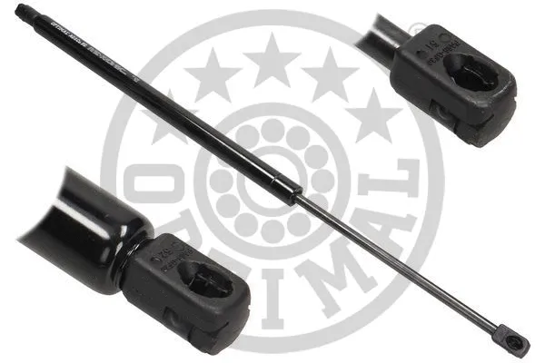 Gas Spring, boot/cargo area (AG-40088)