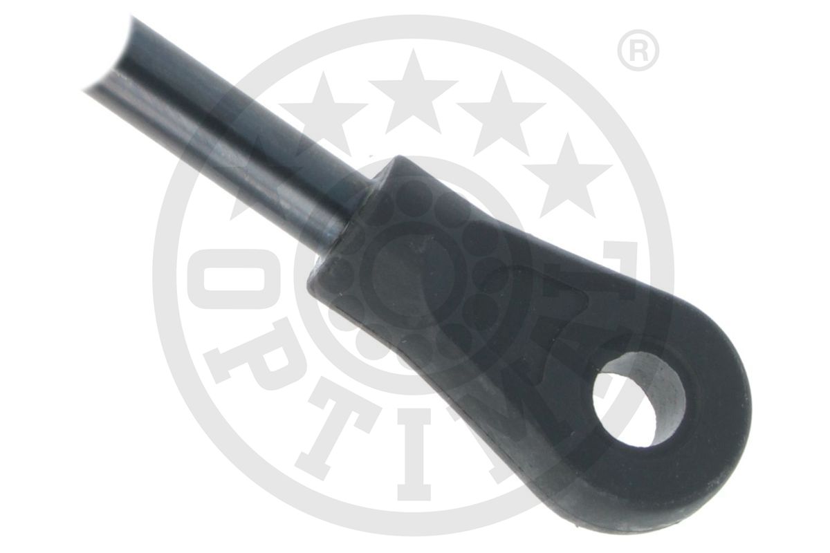 Gas Spring, boot/cargo area