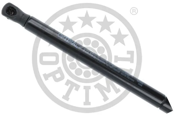 Gas Spring, boot/cargo area