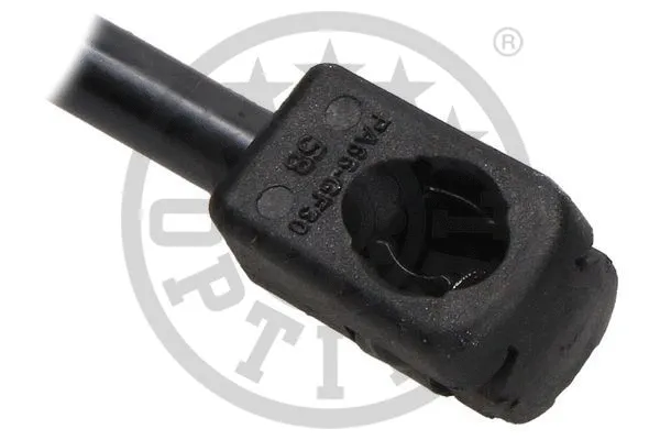 Gas Spring, boot/cargo area