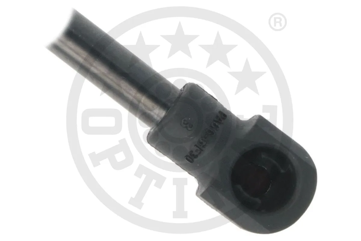 Gas Spring, boot/cargo area