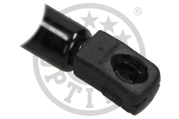 Gas Spring, boot/cargo area