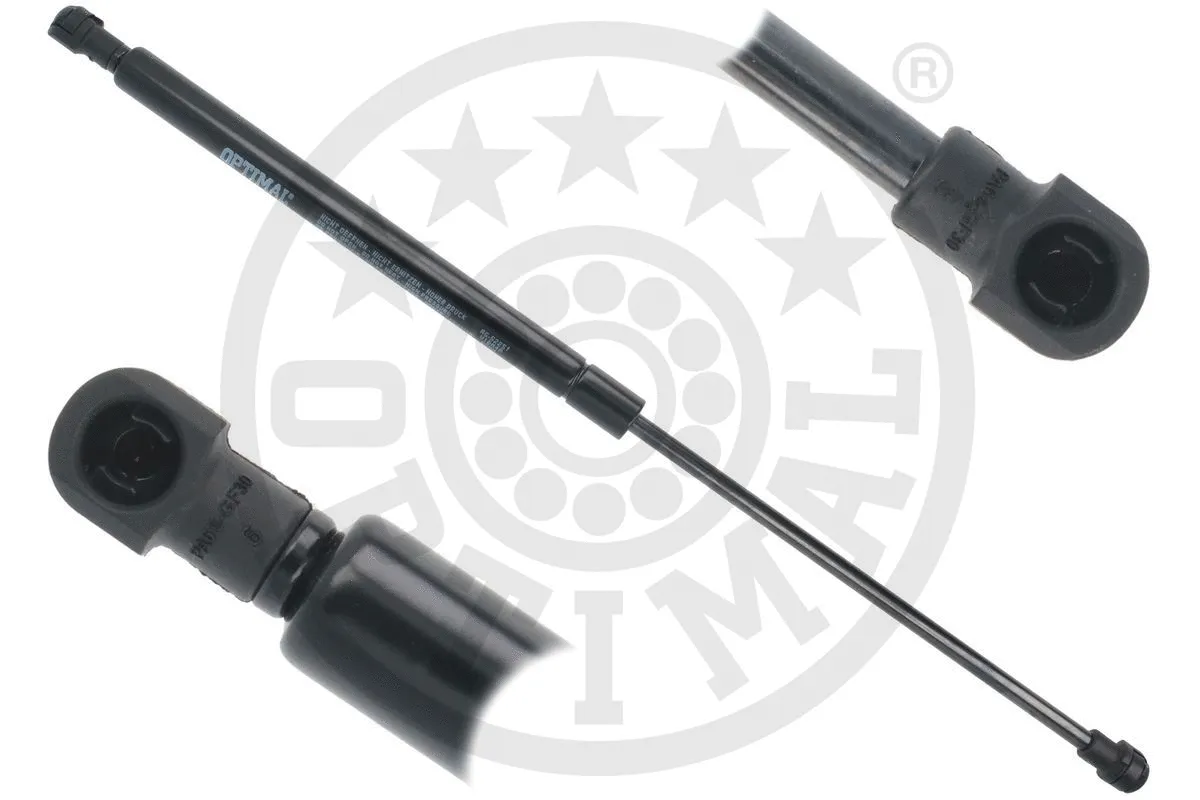 Gas Spring, boot/cargo area (AG-52251)