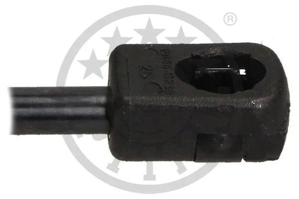 Gas Spring, boot/cargo area