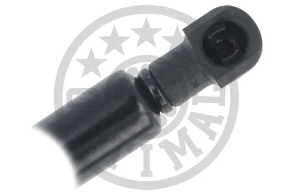 Gas Spring, boot/cargo area